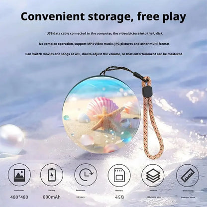 Video Crystal Memory Art Glass Ball