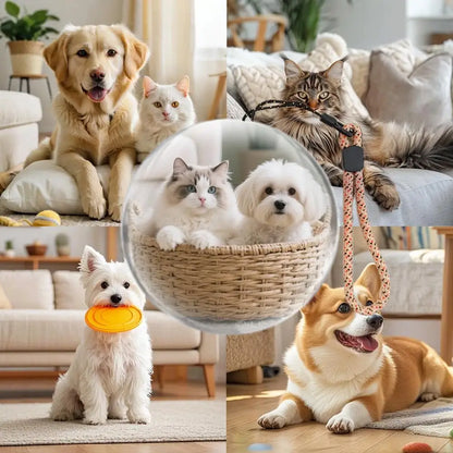 Video Crystal Memory Art Glass Ball